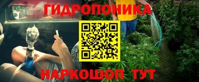 прущие грибы Кунгур