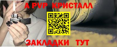 прущие грибы Кунгур