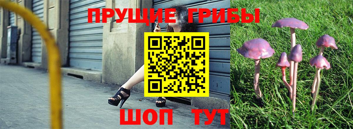 Чебаркуль  Галлюциногенные грибы мицелий  Вход с VPN 